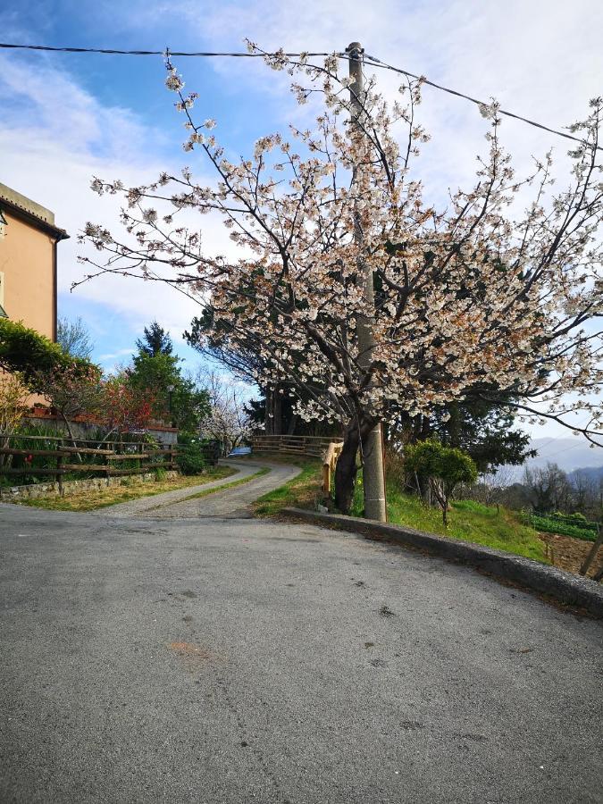 B&B Genova Country Fegino Dış mekan fotoğraf