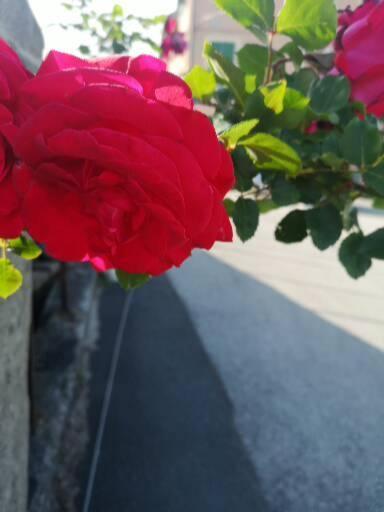 B&B Genova Country Fegino Dış mekan fotoğraf